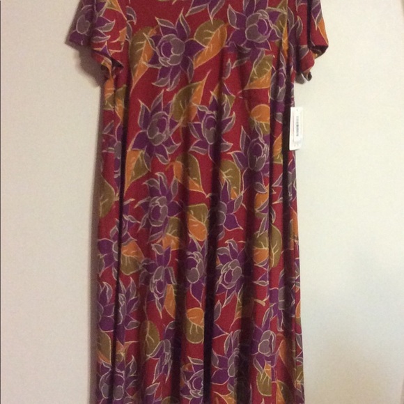 LuLaRoe Dresses & Skirts - LuLaRoe Hi-Low Carly Dress NWT